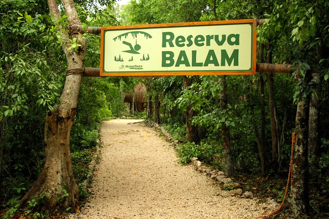 Private Jungle Adventure tour: Zipline + Rappel + Cenote - Price and value: $295 for a private-style, gear-heavy day