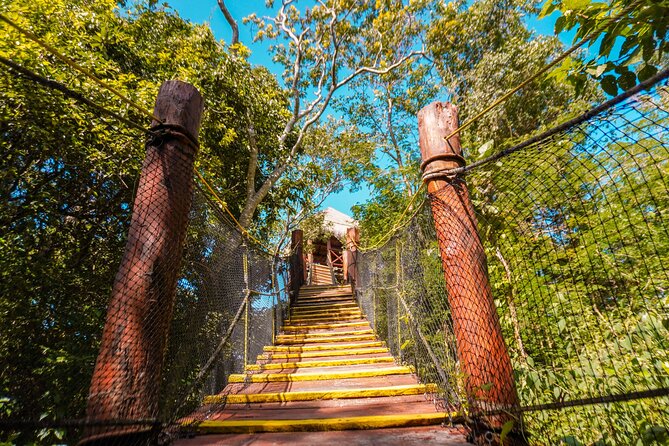 Private Jungle Adventure tour: Zipline + Rappel + Cenote - Rappel into the cenote: the moment that feels completely different