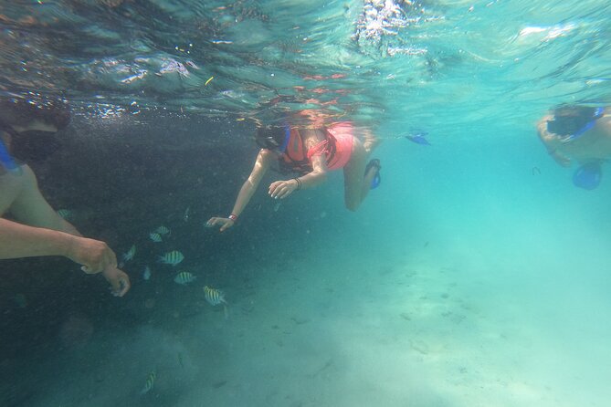 Private MUSA Snorkeling Experience at Isla Mujeres and Cancun - Private MUSA Snorkeling, and what “private” really buys you