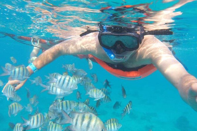 Private MUSA Snorkeling Experience at Isla Mujeres and Cancun - The MUSA stop: underwater art you can see and swim around