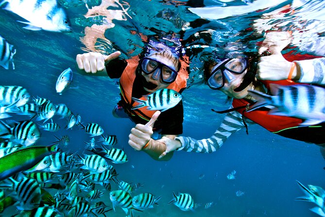 Private MUSA Snorkeling Experience at Isla Mujeres and Cancun - Snorkeling at your pace, plus the shallow swim break