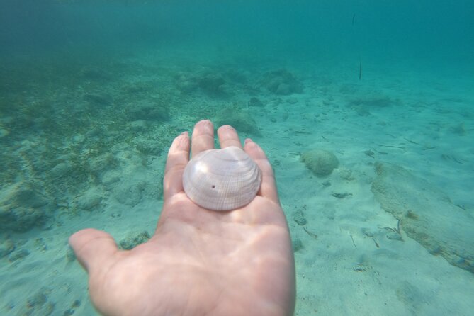 Private MUSA Snorkeling Experience at Isla Mujeres and Cancun - Drinks and food, plus the GoPro photo option