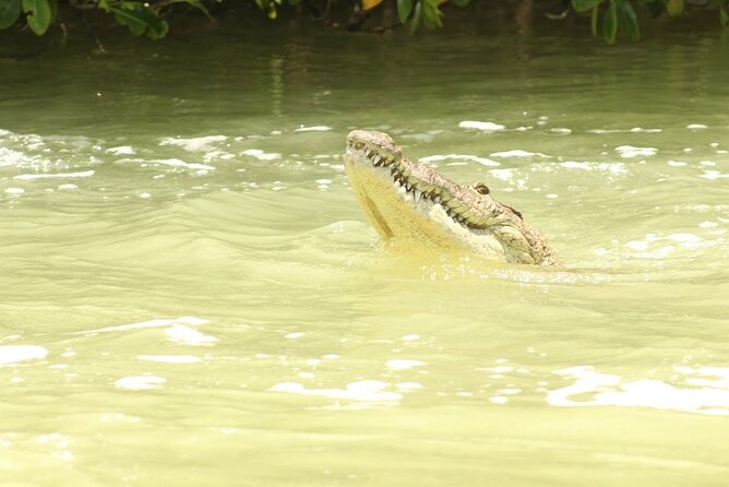 Private Rio Lagartos Flamingo and pink lakes - Who this tour suits best