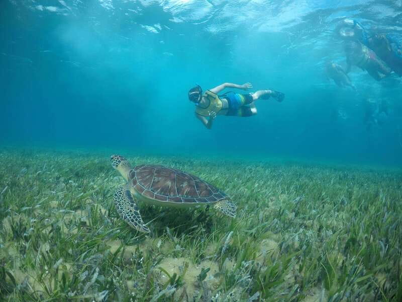 Private SNORKEL AND ISLA MUJERES Tour for GROUPS & FAMILIES - Key points at a glance