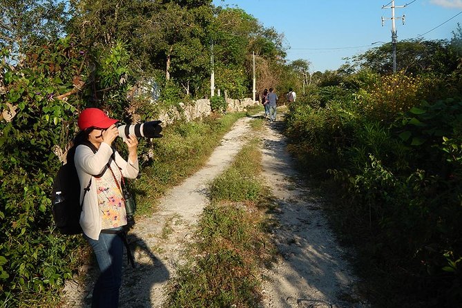 Private Tour: Birdwatching from Cancun - What You Might See: Species Examples and How to Think About Your Wishlist