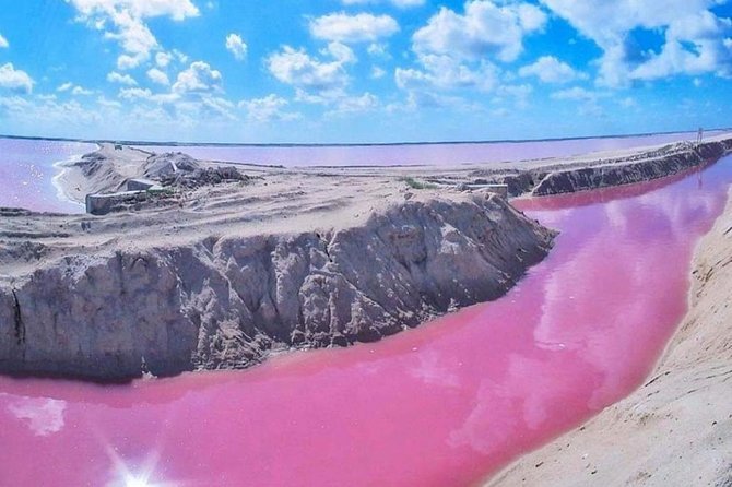 Private Tour: Ek Balam, Pink Flamingos Sanctuary and Tequila Tasting Factory - Mangroves, salt ponds, and the flamingo action at Las Coloradas and Rio Lagartos
