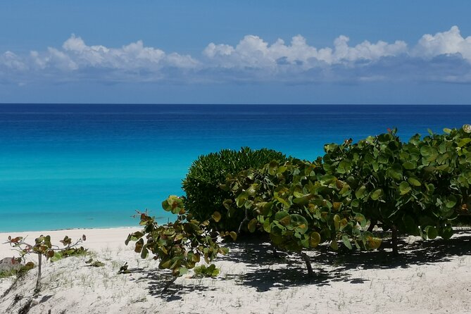 Private Transfer-Cancun Airport-Playa del Carmen One Way - Cancun Airport to Playa Del Carmen, Without the Airport Chaos