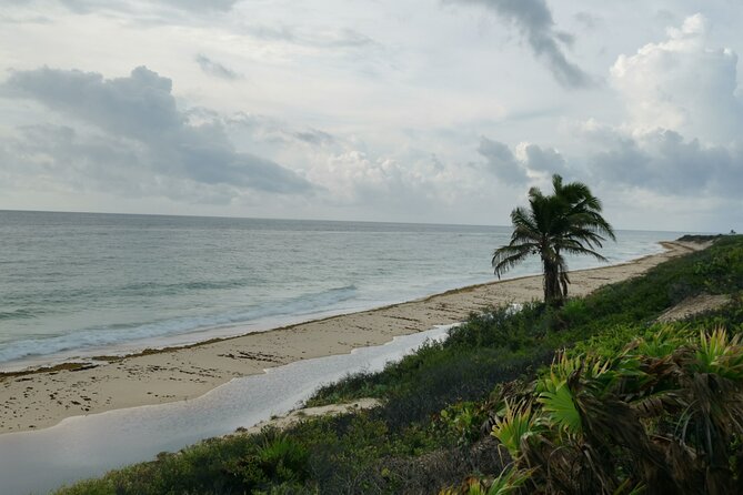 Private Transfer-Cancun Airport-Playa del Carmen One Way - Arriving in Playa del Carmen: Luggage Help and a Clean Finish