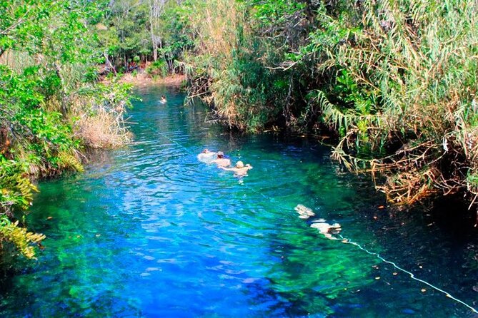 Private Transfer-Cancun Airport to Tulum Downtown - One Way - Who This Transfer Fits Best (and Who Might Want Another Option)