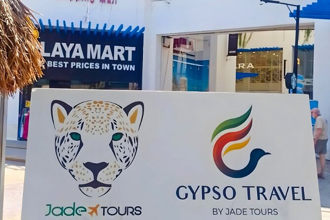 Private Transfer Cancun-Playa del Carmen/Ferry/Puerto Aventuras - Which travelers should book this private transfer, and who might want a different option