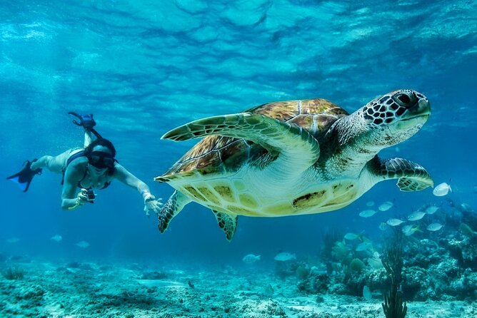 Private Tulum Mayan Ruins & Swimming with Turtles Experience - Akumal and Tulum in One 8-Hour Private Day