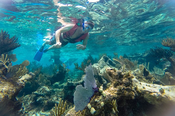 Private Tulum Ruins, Reef Snorkel & Cenote Adventure - Private transfers and a very early start that makes sense
