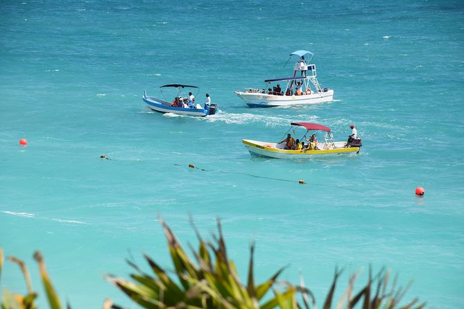 Private Tulum Ruins, Reef Snorkel & Cenote Adventure - Second cenote stop: learning the ecosystem while you swim
