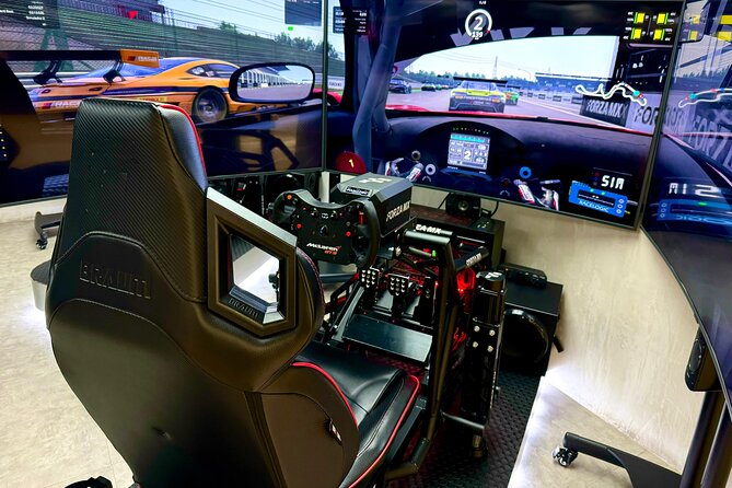 Professional racing simulator - Key Points You Should Know Before You Go