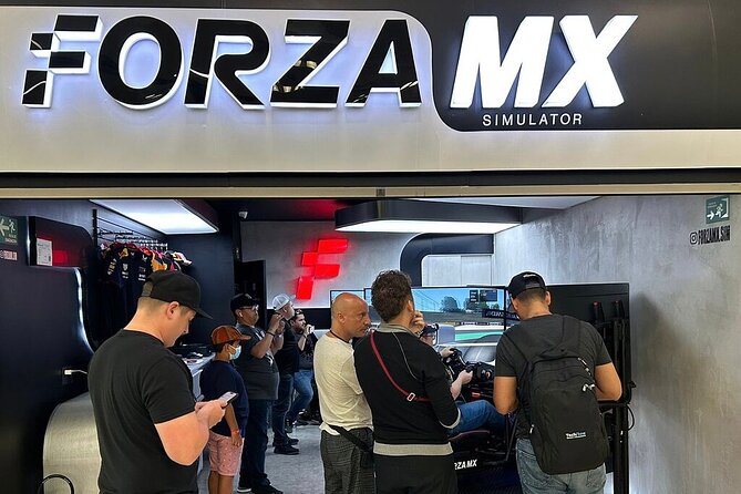Professional racing simulator - What Happens During Your 10-Minute Sim Session
