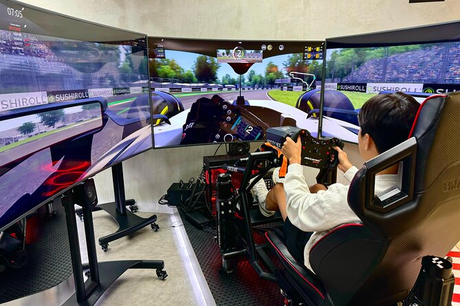 Professional racing simulator - Price and Value for an Airport Layover