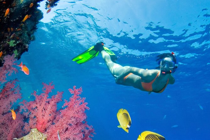 Puerto Morelos Catamaran Reef Sail and Snorkel - Snorkeling at Puerto Morelos National Marine Park: what to expect in the real water