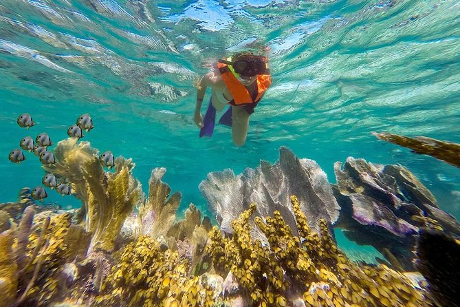 Puerto Morelos Reef Snorkeling Tour with Lunch & Hotel Pickup - Snorkel stop one: coral, color, and an easy pace