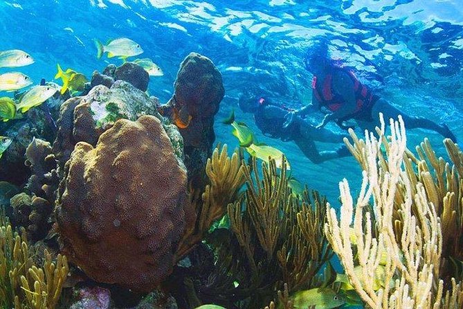 Puerto Morelos Reef Snorkeling Tour with Lunch & Hotel Pickup - Shopping time and the sales-pitch reality