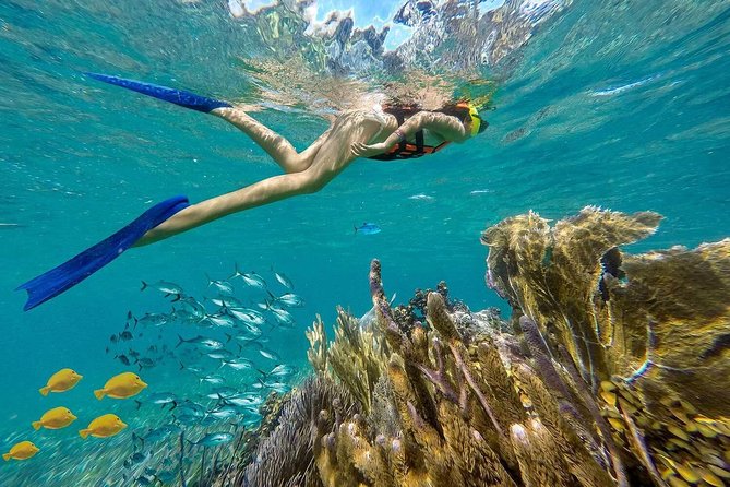 Puerto Morelos Reef Snorkeling Tour with Lunch & Hotel Pickup - Hotel pickup timing, the real schedule, and why it matters
