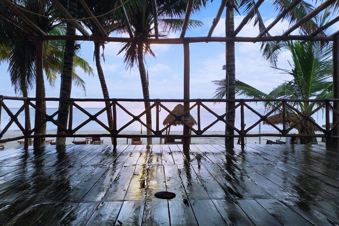 Puerto Morelos Salsa or Bachata Dance lesson from Puerto Morelos - Warm-up and Caribbean Vibe: Getting Your Body Ready