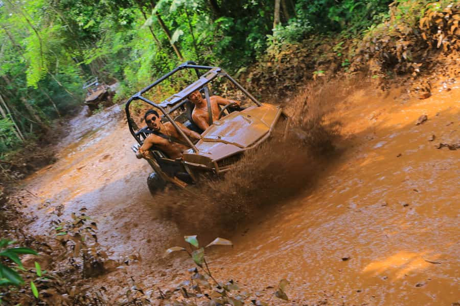 Puerto Morelos: Selvatica Park All-Inclusive Adventure Pass - The 10 zip-lines circuit and AquaZip: start with glide, then turn it up