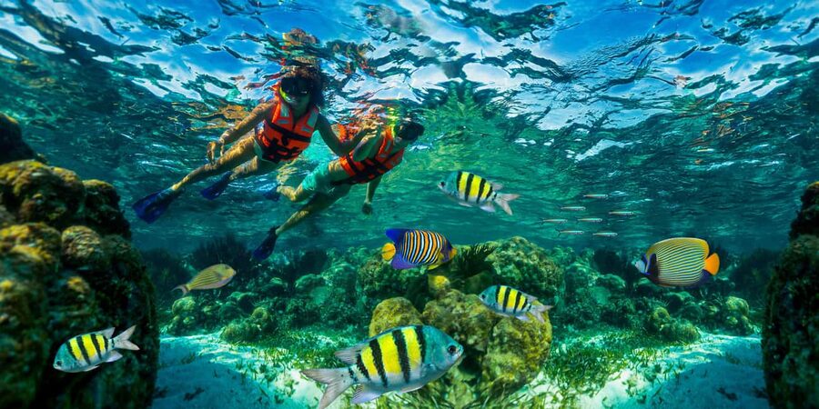 Puerto Morelos: Snorkel, Town Walk, Tequila & Beach Lunch - Key takeaways before you go