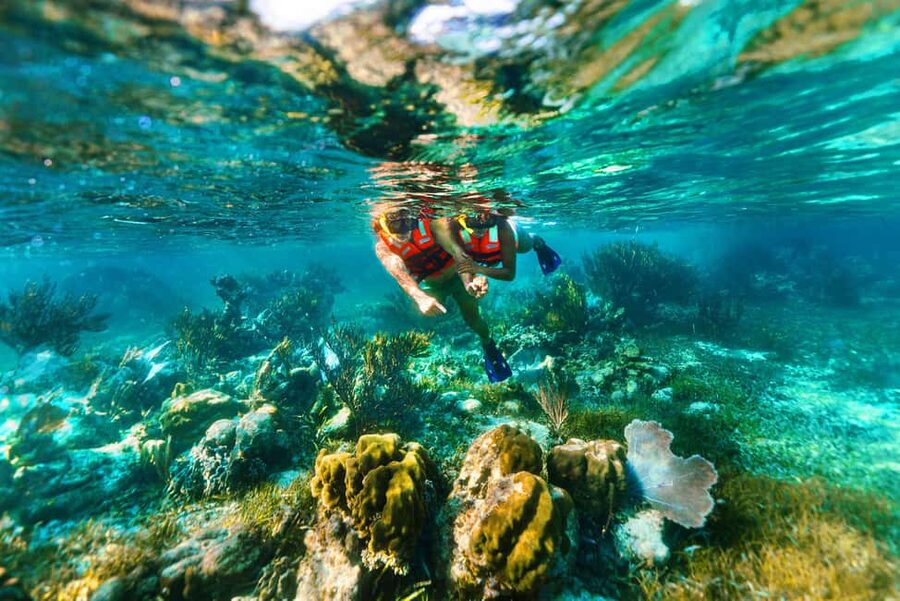 Puerto Morelos: Snorkel, Town Walk, Tequila & Beach Lunch - Who should book this Puerto Morelos snorkeling and town day