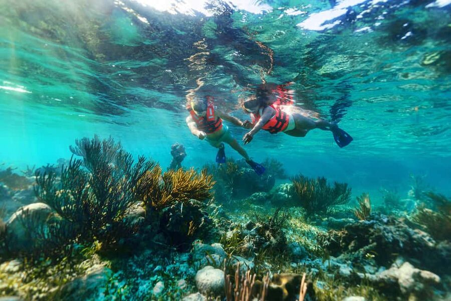 Puerto Morelos: Snorkel, Town Walk, Tequila & Beach Lunch - Tequila tasting plus beach tacos: a fun finish that still feels practical