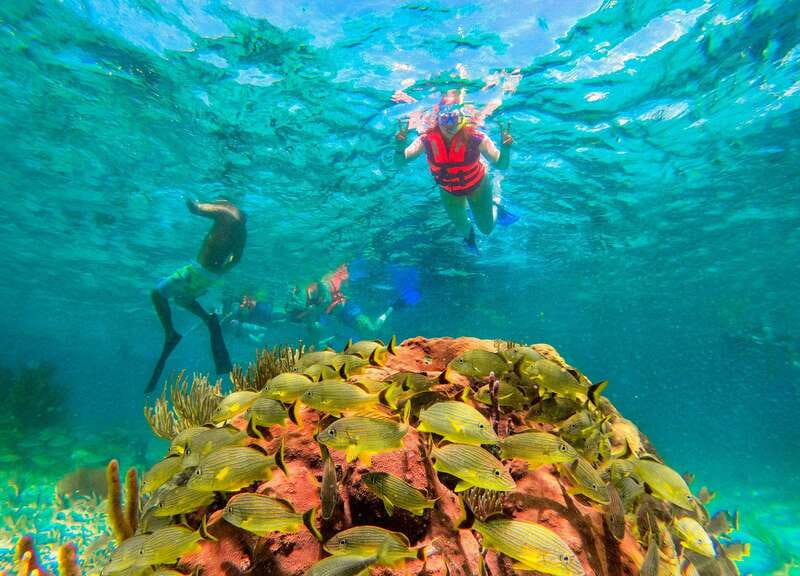 Puerto Morelos: Snorkel, Town Walk, Tequila & Beach Lunch - Price and logistics: why $39 can be a deal and where costs pop up