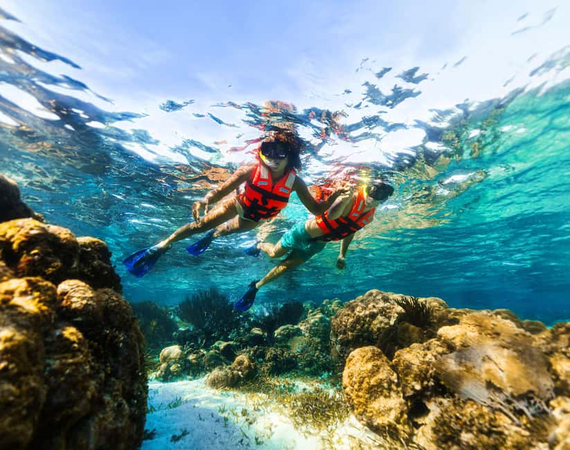 Puerto Morelos: Snorkel, Town Walk, Tequila & Beach Lunch - What to bring, what to avoid, and how to make the day smoother