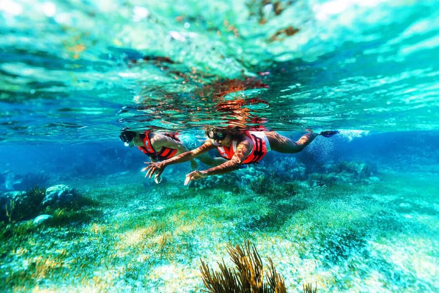 Puerto Morelos: Snorkel, Town Walk, Tequila & Beach Lunch - Guide quality is the difference between good and great