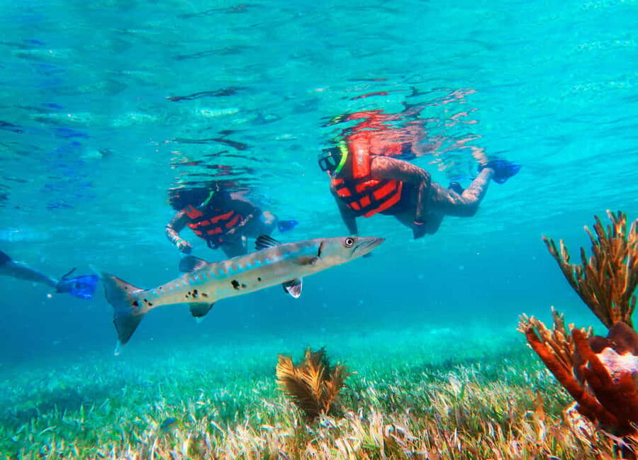 Puerto Morelos: Snorkel, Town Walk, Tequila & Beach Lunch - Hotel pickup, safety briefing, and the rules that keep the reef healthy