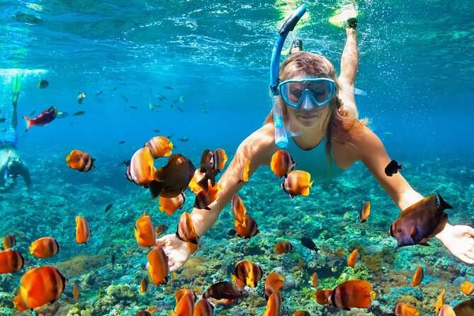 Puerto Morelos Snorkel, Town Walk, Tequila Tasting & Beach Lunch - Cancun hotel pickup that saves time, but plan for real travel