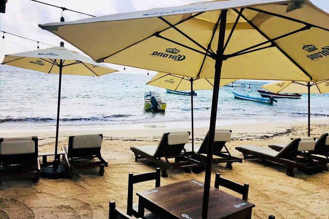 Puerto Morelos Snorkel, Town Walk, Tequila Tasting & Beach Lunch - Snorkeling the Great Maya Reef: gear, rules, and guide-led safety