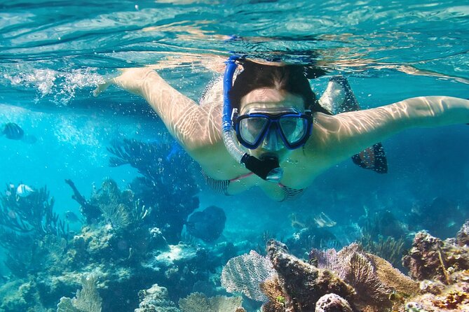 Puerto Morelos Snorkel, Town Walk, Tequila Tasting & Beach Lunch - Time in Puerto Morelos: a fishing village break after the water
