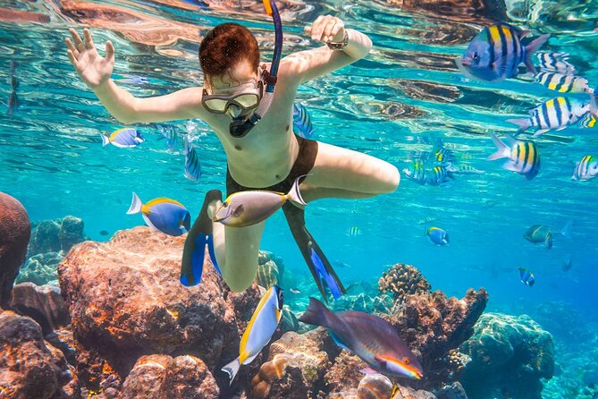 Puerto Morelos Snorkel, Town Walk, Tequila Tasting & Beach Lunch - Beachside lunch plus tequila tasting: the best kind of multi-stop day