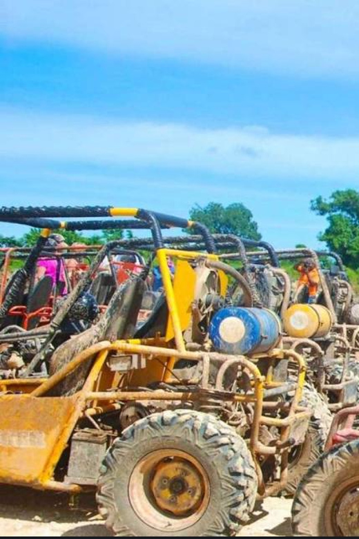 Punta Cana: Amazing Tour in Buggy Explore With Pick Up Hotel - What the Jungle Route Means for Your Actual Experience