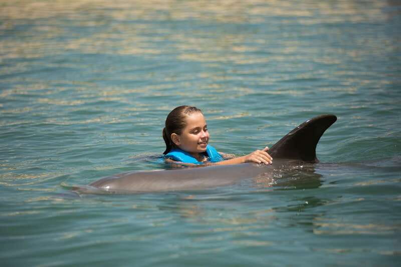 Punta Cancun: Swim with dolphins Interax - Where Punta Cancun Meets Hyatt Ziva for an Easy Start