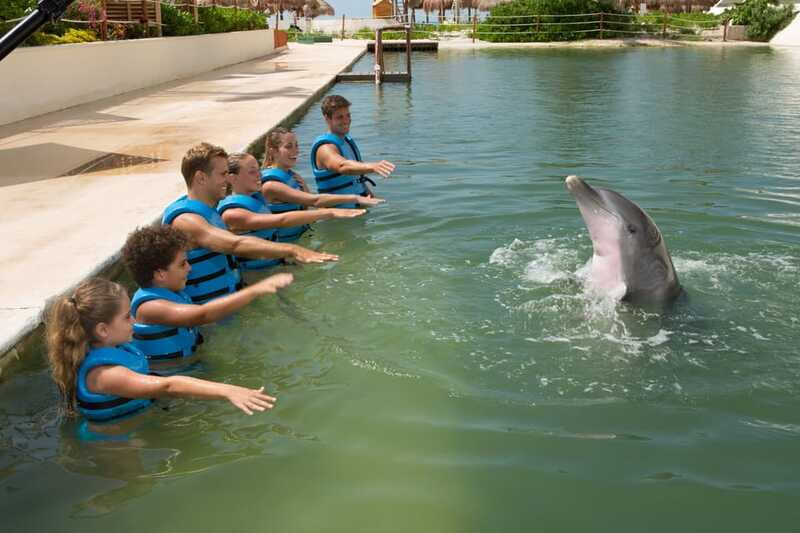 Punta Cancun: Swim with dolphins Interax - Rules That Protect the Dolphins: No Phones, No Cameras, No Jewelry