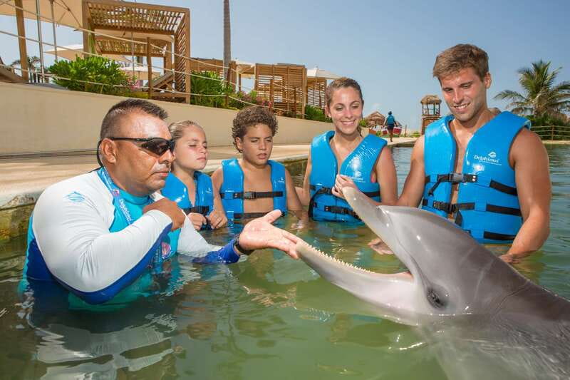Punta Cancun: Swim with dolphins Interax - Transportation, Hotel Amenities, and Timing: The Stuff That Can Ruin a Day