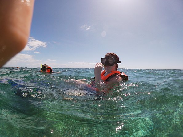 Reef Snorkel In National Park In Puerto Morelos With Lunch And Transportation - National Reef Park of Puerto Morelos: the reef that’s easy to reach from Cancun