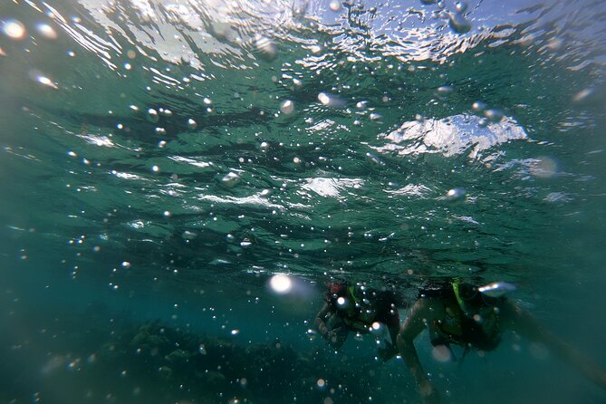 Reef Snorkel In National Park In Puerto Morelos With Lunch And Transportation - Time and transportation: why the day can run long