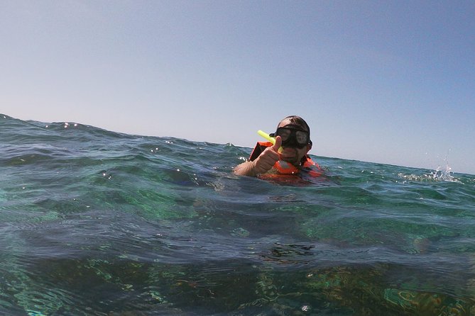 Reef Snorkel In National Park In Puerto Morelos With Lunch And Transportation - Who this Puerto Morelos snorkeling tour suits best