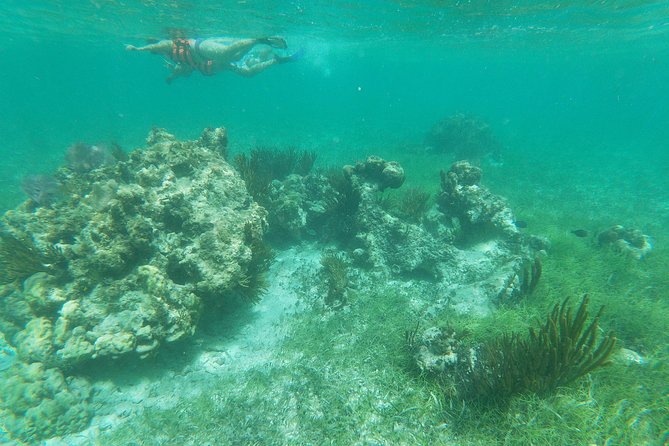 Reef Snorkel, underwater adventure in Puerto Morelos With Transportation & Lunch - Puerto Morelos Reef Snorkel: why this 5-hour format works