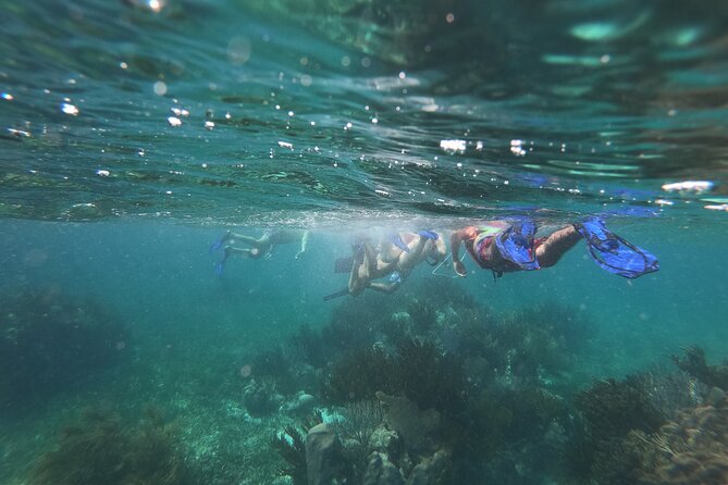 Reef Snorkel, underwater adventure in Puerto Morelos With Transportation & Lunch - Photography rules and the $110 photo package question to ask upfront