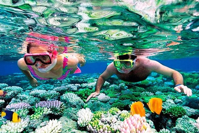 Reef Snorkel, underwater adventure in Puerto Morelos With Transportation & Lunch - National Reef Park of Puerto Morelos: what the snorkel experience is really like
