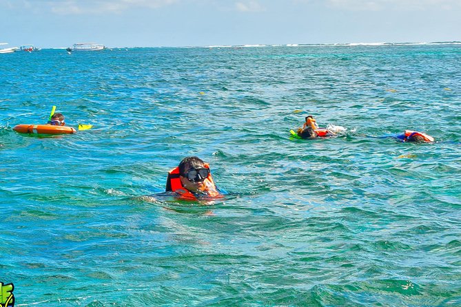 Reef Snorkeling in National Park from Cancun with Beachside Lunch - Who This Tour Suits Best (And Who Should Skip It)