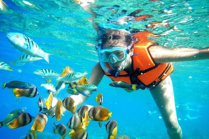 Reef Snorkeling in National Park from Cancun with Beachside Lunch - National Reef Park and the Great Maya Reef: What Your Snorkel Time Feels Like