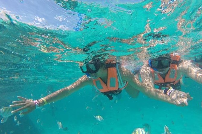Reef Snorkeling & Jungle Speedboat Adventure with Mayan Ceremony - Price and logistics: why the $59 can turn into more